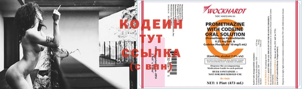 дурь Вяземский