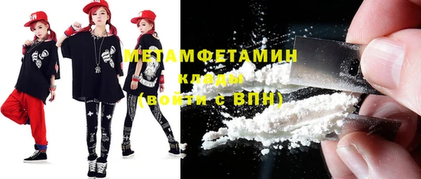 индика Володарск